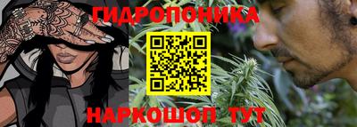 индика Рузаевка