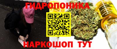 шишки Рыбинск