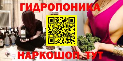 индика Рузаевка